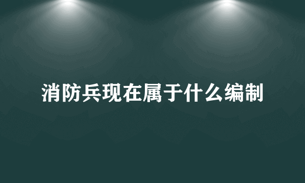 消防兵现在属于什么编制