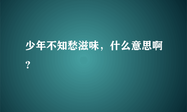 少年不知愁滋味，什么意思啊？