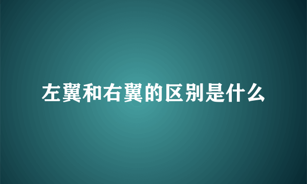 左翼和右翼的区别是什么