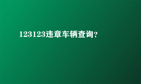 123123违章车辆查询？