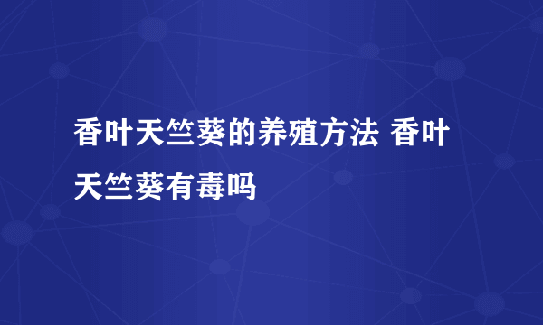 香叶天竺葵的养殖方法 香叶天竺葵有毒吗