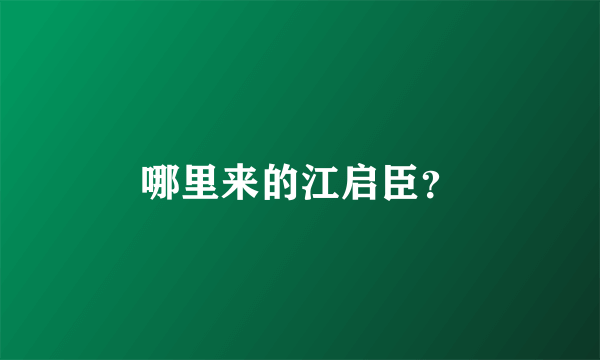 哪里来的江启臣？