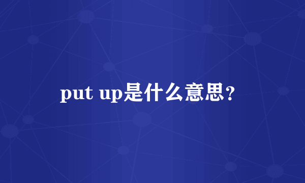 put up是什么意思？