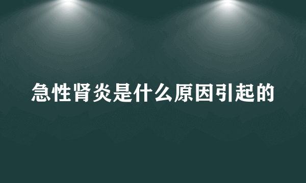 急性肾炎是什么原因引起的