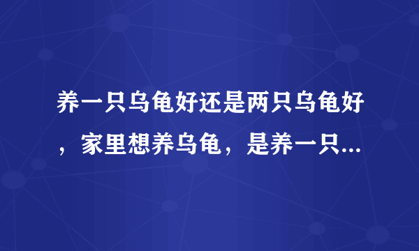 养一只乌龟好还是两只乌龟好，家里想养乌龟，是养一只还是两只好呢？