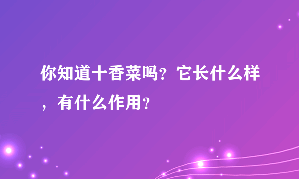 你知道十香菜吗？它长什么样，有什么作用？