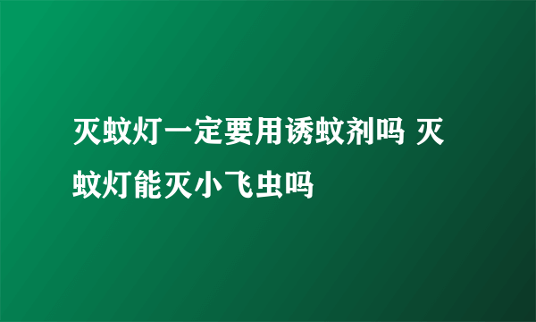 灭蚊灯一定要用诱蚊剂吗 灭蚊灯能灭小飞虫吗