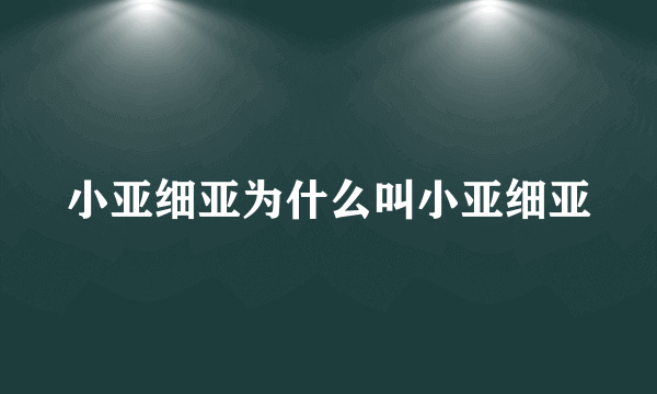 小亚细亚为什么叫小亚细亚