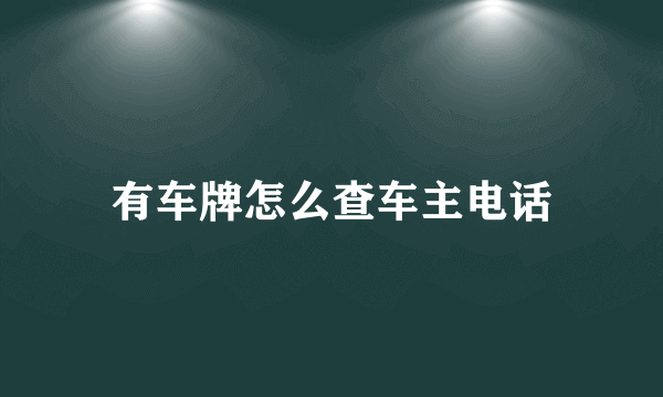 有车牌怎么查车主电话