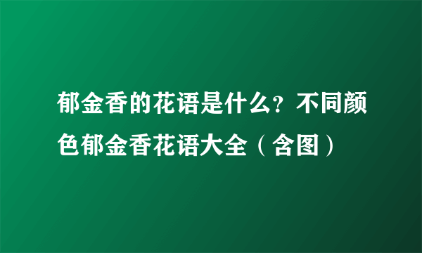 郁金香的花语是什么？不同颜色郁金香花语大全（含图）