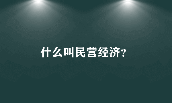 什么叫民营经济？