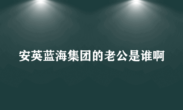 安英蓝海集团的老公是谁啊