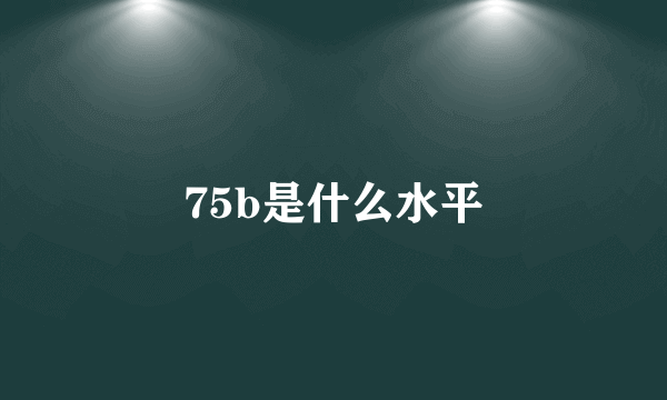 75b是什么水平