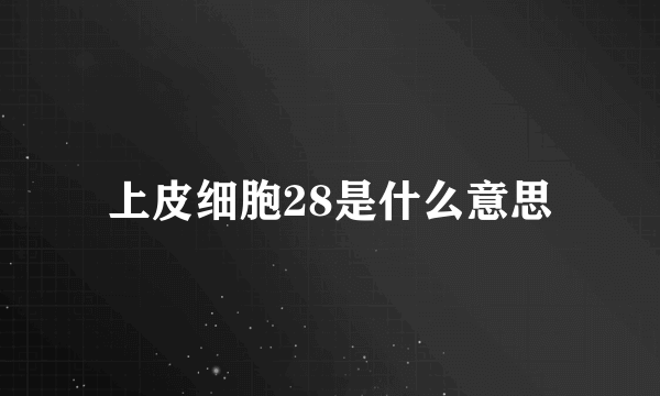 上皮细胞28是什么意思