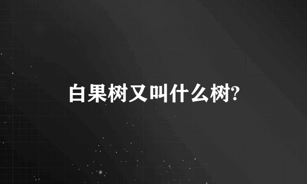 白果树又叫什么树?