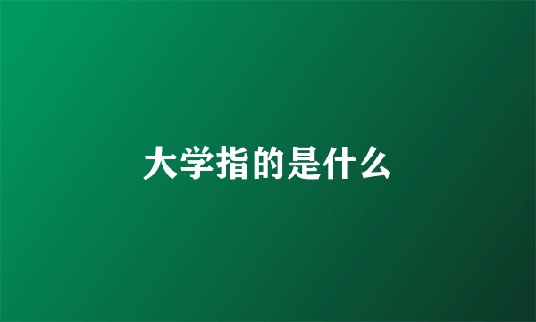 大学指的是什么