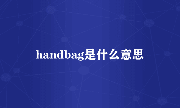 handbag是什么意思