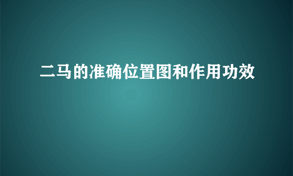 二马的准确位置图和作用功效