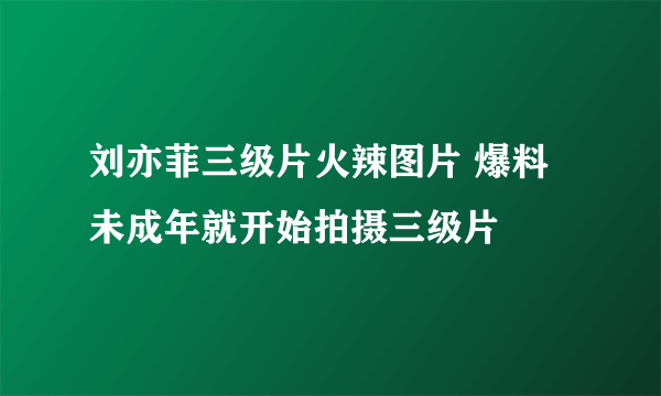 刘亦菲三级片火辣图片 爆料未成年就开始拍摄三级片