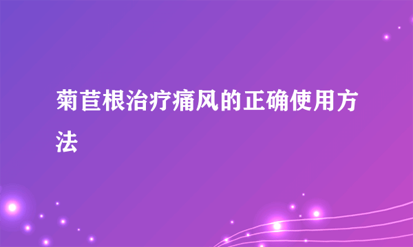 菊苣根治疗痛风的正确使用方法