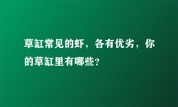 草缸常见的虾，各有优劣，你的草缸里有哪些？