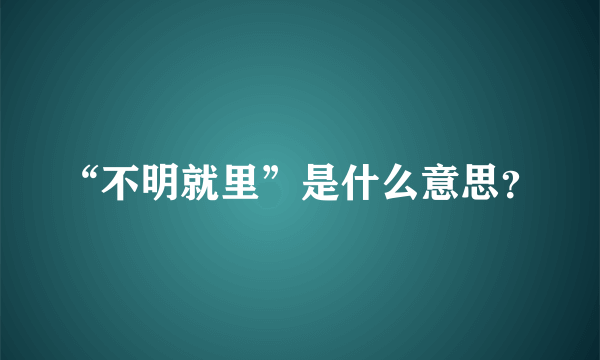 “不明就里”是什么意思？