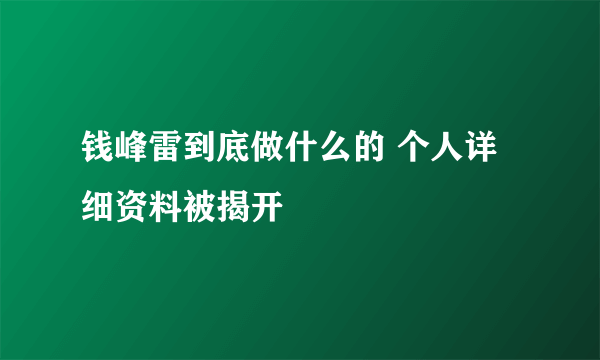 钱峰雷到底做什么的 个人详细资料被揭开