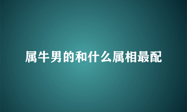 属牛男的和什么属相最配