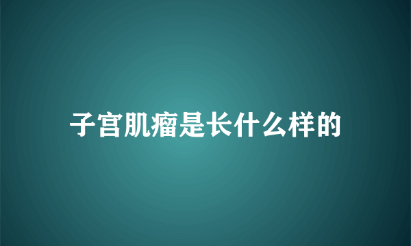 子宫肌瘤是长什么样的