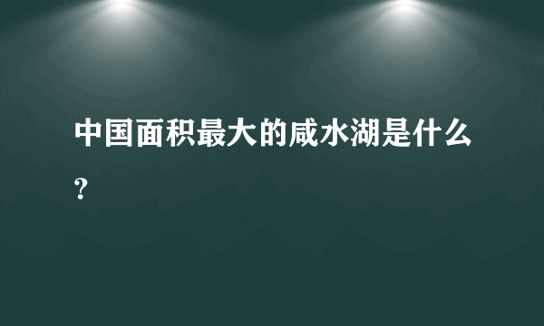 中国面积最大的咸水湖是什么？