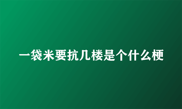 一袋米要抗几楼是个什么梗