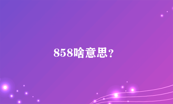 858啥意思？