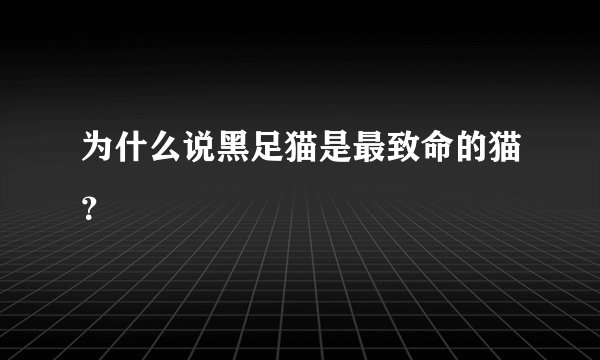 为什么说黑足猫是最致命的猫？