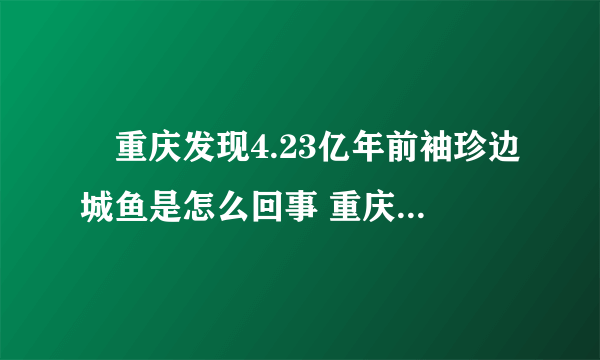 ​重庆发现4.23亿年前袖珍边城鱼是怎么回事 重庆发现4.23亿年前袖珍边城鱼长什么样