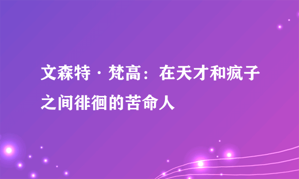 文森特·梵高：在天才和疯子之间徘徊的苦命人