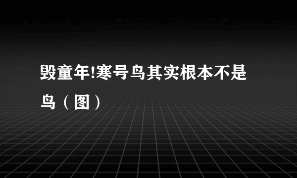 毁童年!寒号鸟其实根本不是鸟（图）