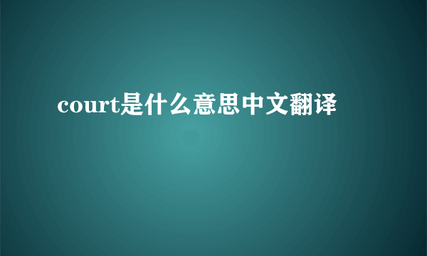 court是什么意思中文翻译