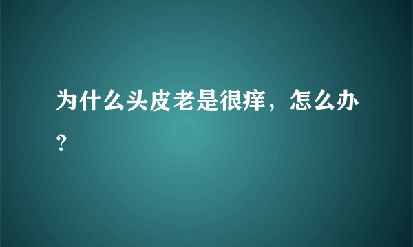 为什么头皮老是很痒，怎么办？