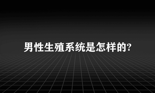 男性生殖系统是怎样的?