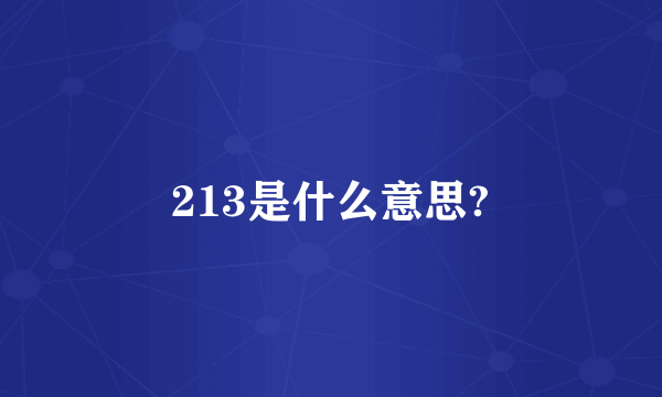 213是什么意思?