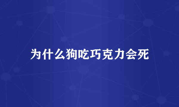 为什么狗吃巧克力会死