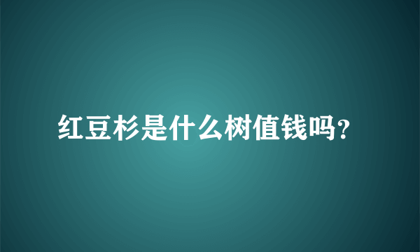 红豆杉是什么树值钱吗？