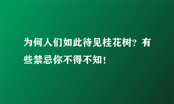 为何人们如此待见桂花树？有些禁忌你不得不知！