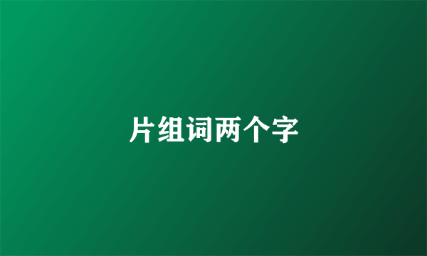 片组词两个字