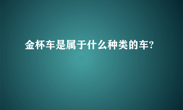 金杯车是属于什么种类的车?