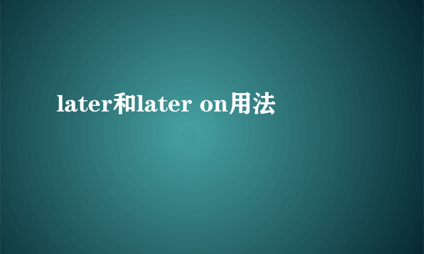 later和later on用法