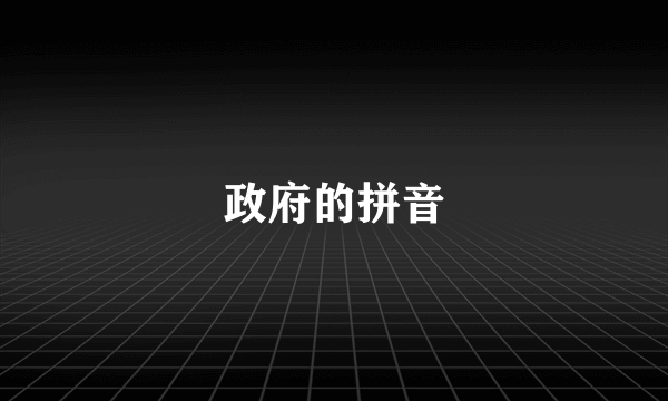 政府的拼音