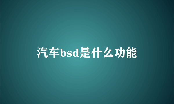 汽车bsd是什么功能