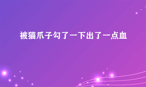 被猫爪子勾了一下出了一点血