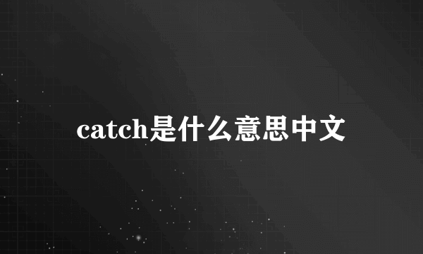 catch是什么意思中文